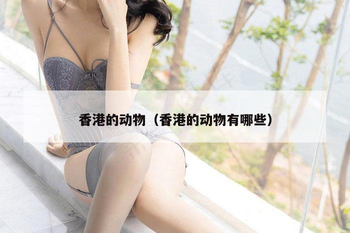 香港的动物（香港的动物有哪些）