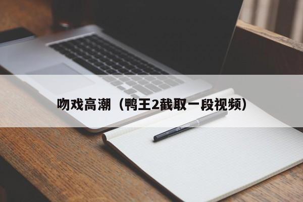 吻戏高潮（鸭王2截取一段视频）